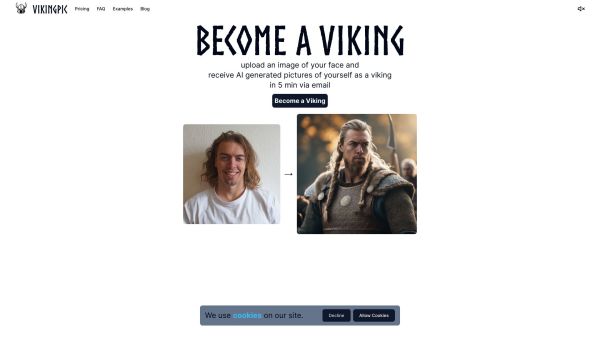 VikingPic
