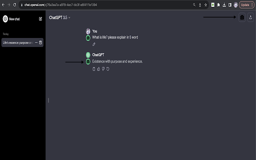 ChatGPT Snapshot Preview