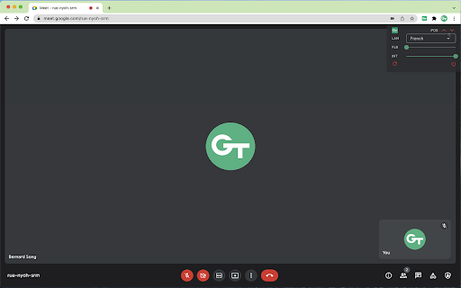 GT Preview
