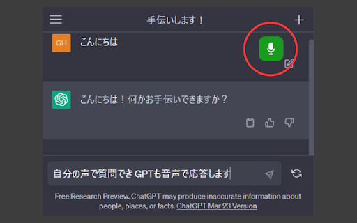 ChatGPT Voice Conversation Add-on Preview