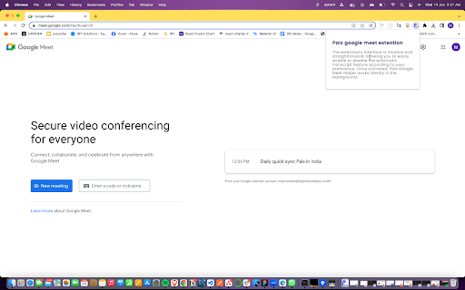 Pals Google Meet Helper Preview