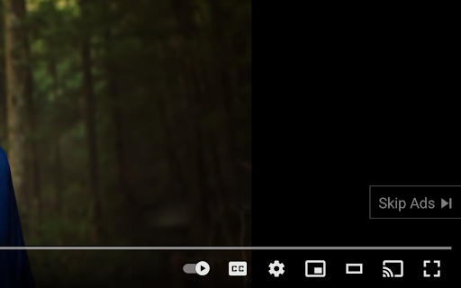 YouTube Ad Skipper Preview