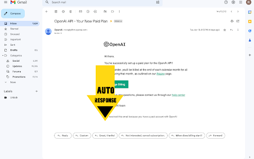 ChatGPT Email Reply Preview