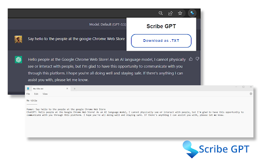 Scribe GPT Preview
