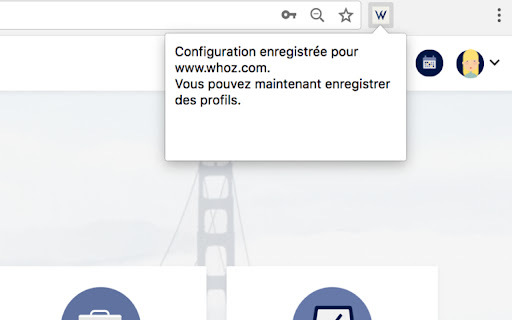 Whoz LinkedIn Extension Preview