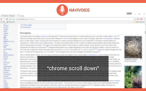 NaviVoice Preview