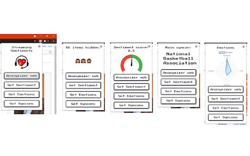 Anonymizer Web Preview