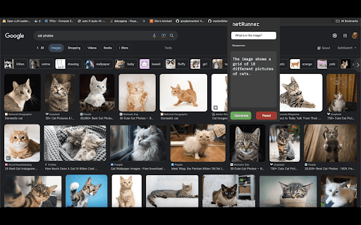 Vision-Enabled Language Model Extension Preview