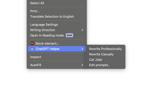 Chrome ChatGPT Helper Preview