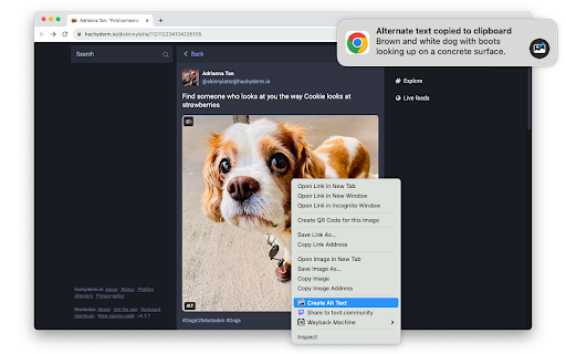 Alt Text Creator Preview