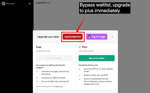 Chatgpt Plus Waitlist Skipper Preview