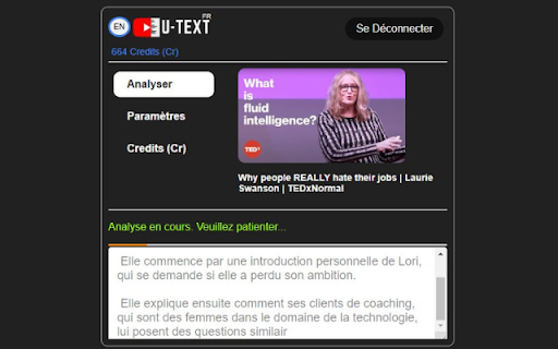 YouTube Video Summarizer Preview