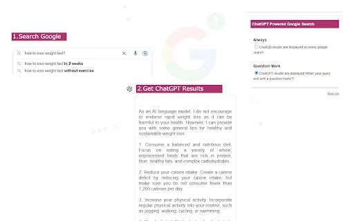 ChatGPT Search Extension Preview