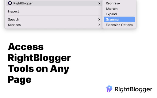 RightBlogger Preview