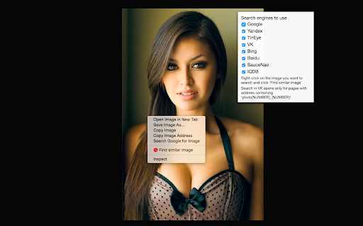 Find Similar Image Preview