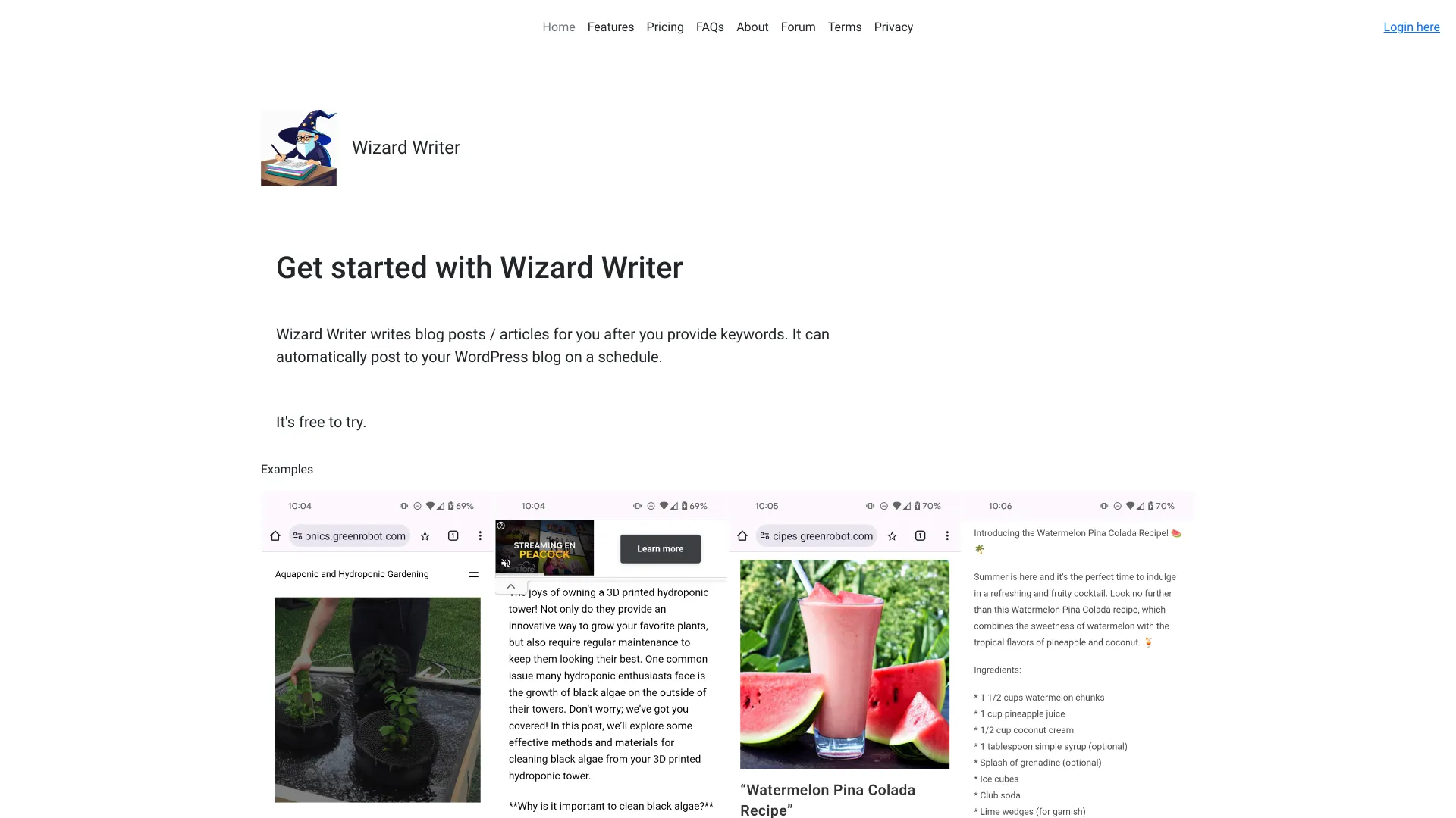 Wizard Writer