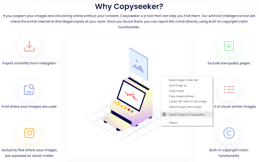 Copyseeker Image Search Preview