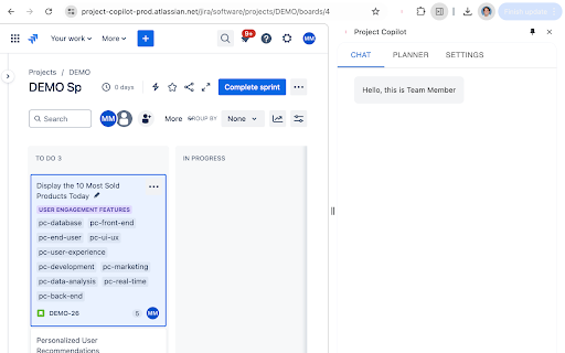 Project Copilot Team Member Preview