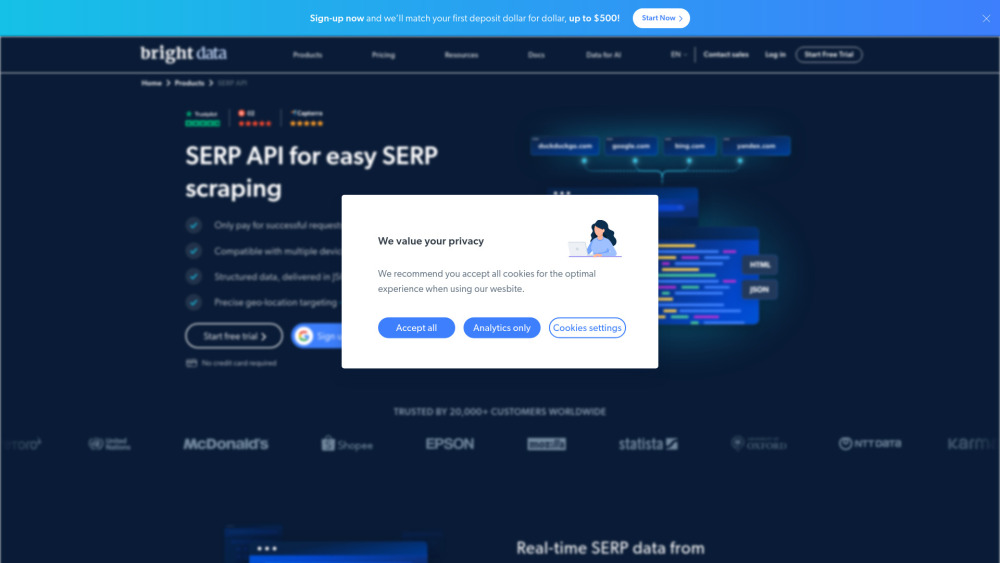 Bright Data SERP API Preview