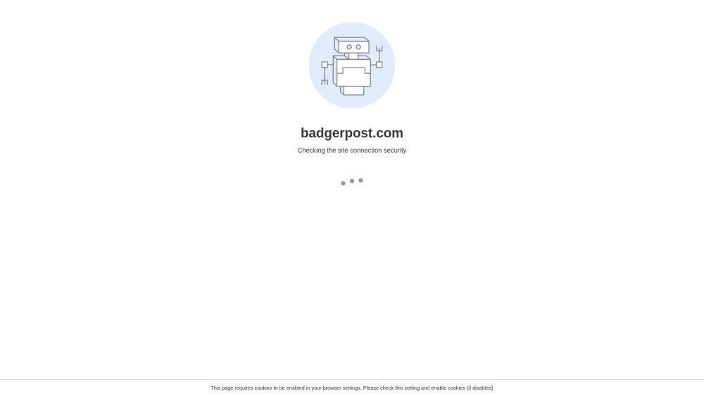 BadgerPost BadgerPost