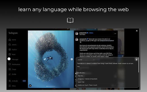 BrowserTranslate Preview