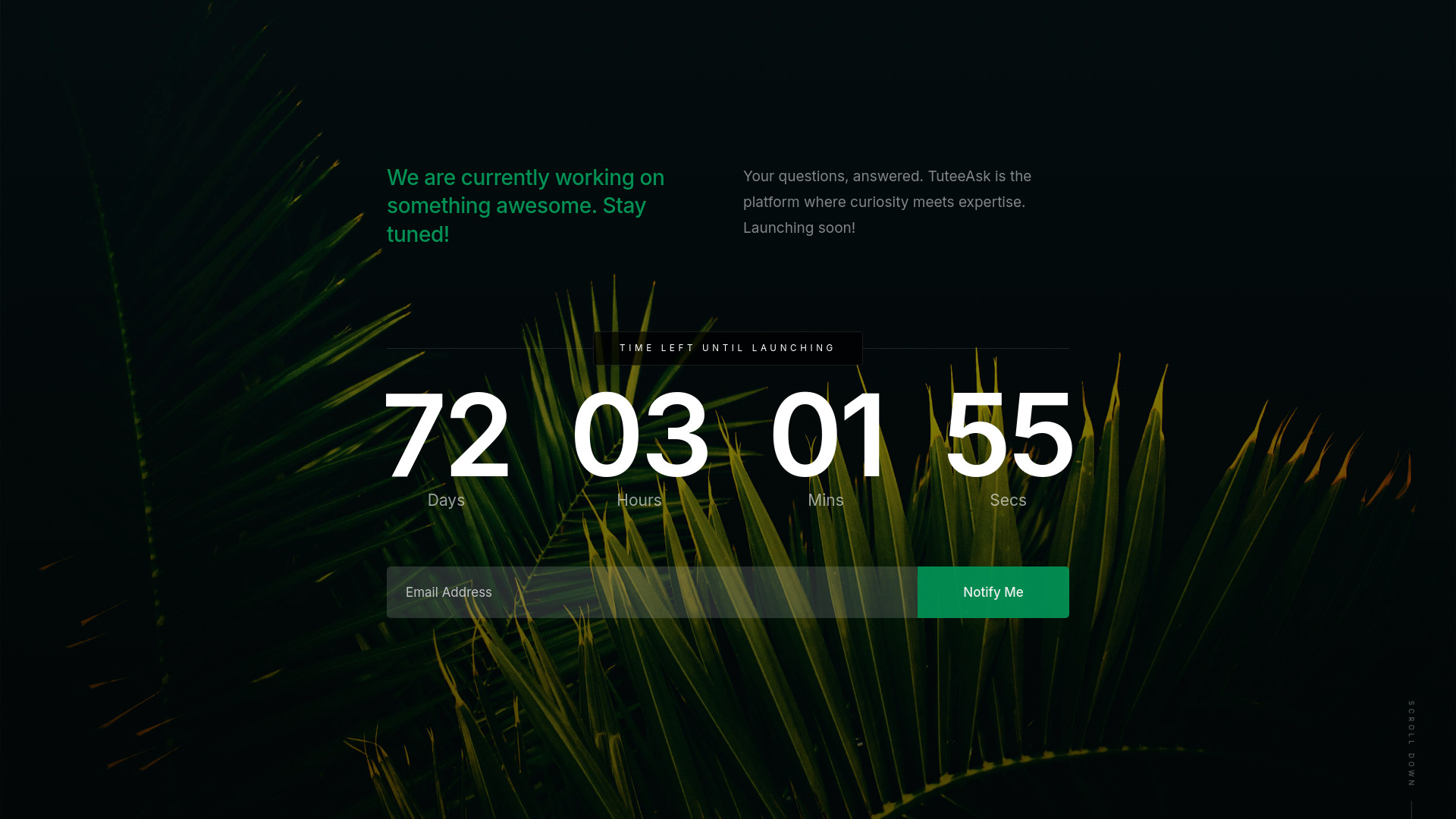 TuteeAsk screenshot