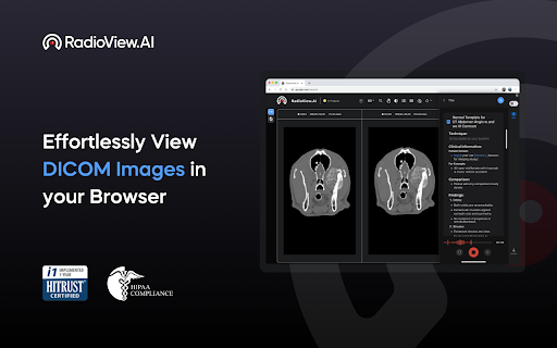 RadioView.AI