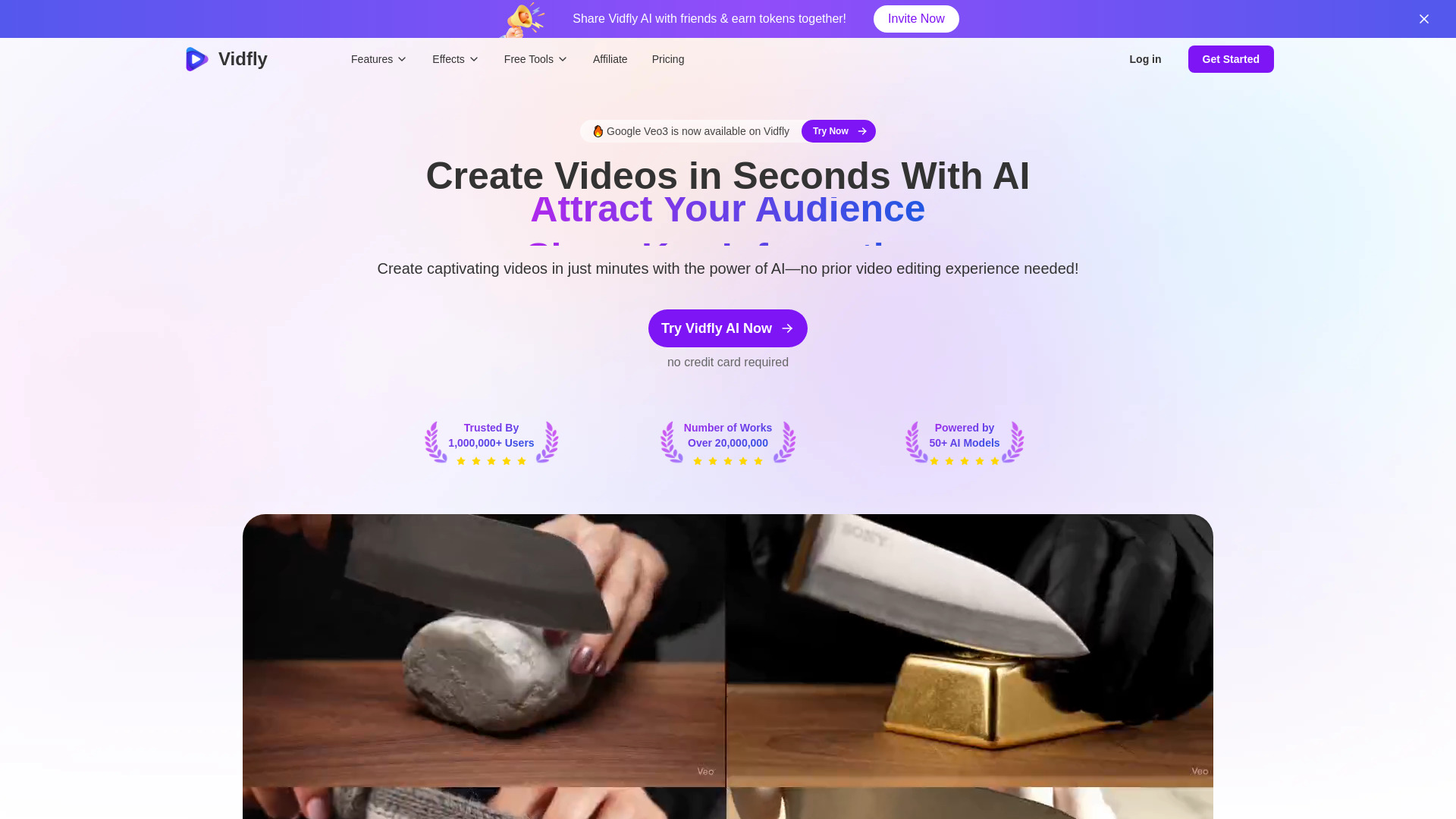 Vidfly preview