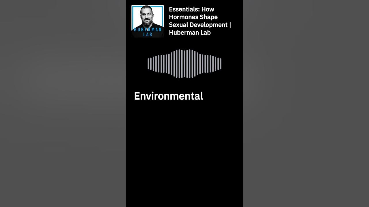 How Hormones Shape Your Brain & Body! 🧠
