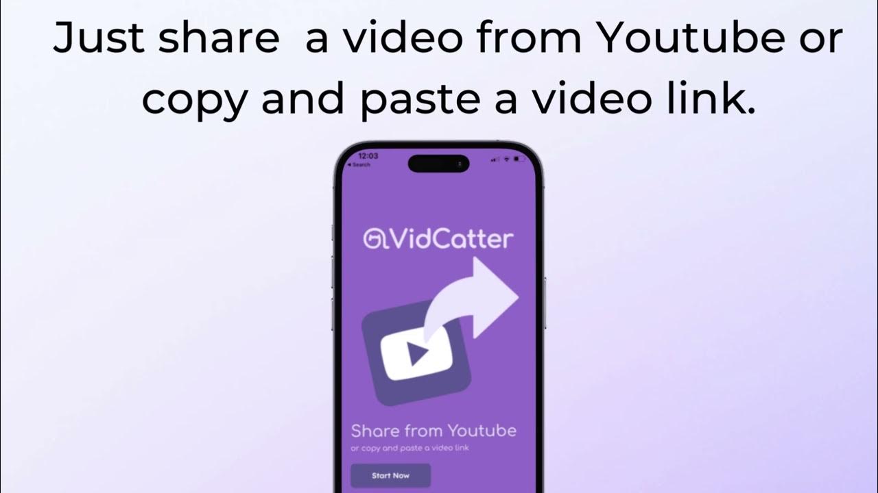 Introducing VidCatter