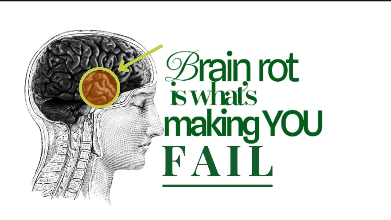 Brain Rot is Ruining Your Potential, This is How to Fix it.